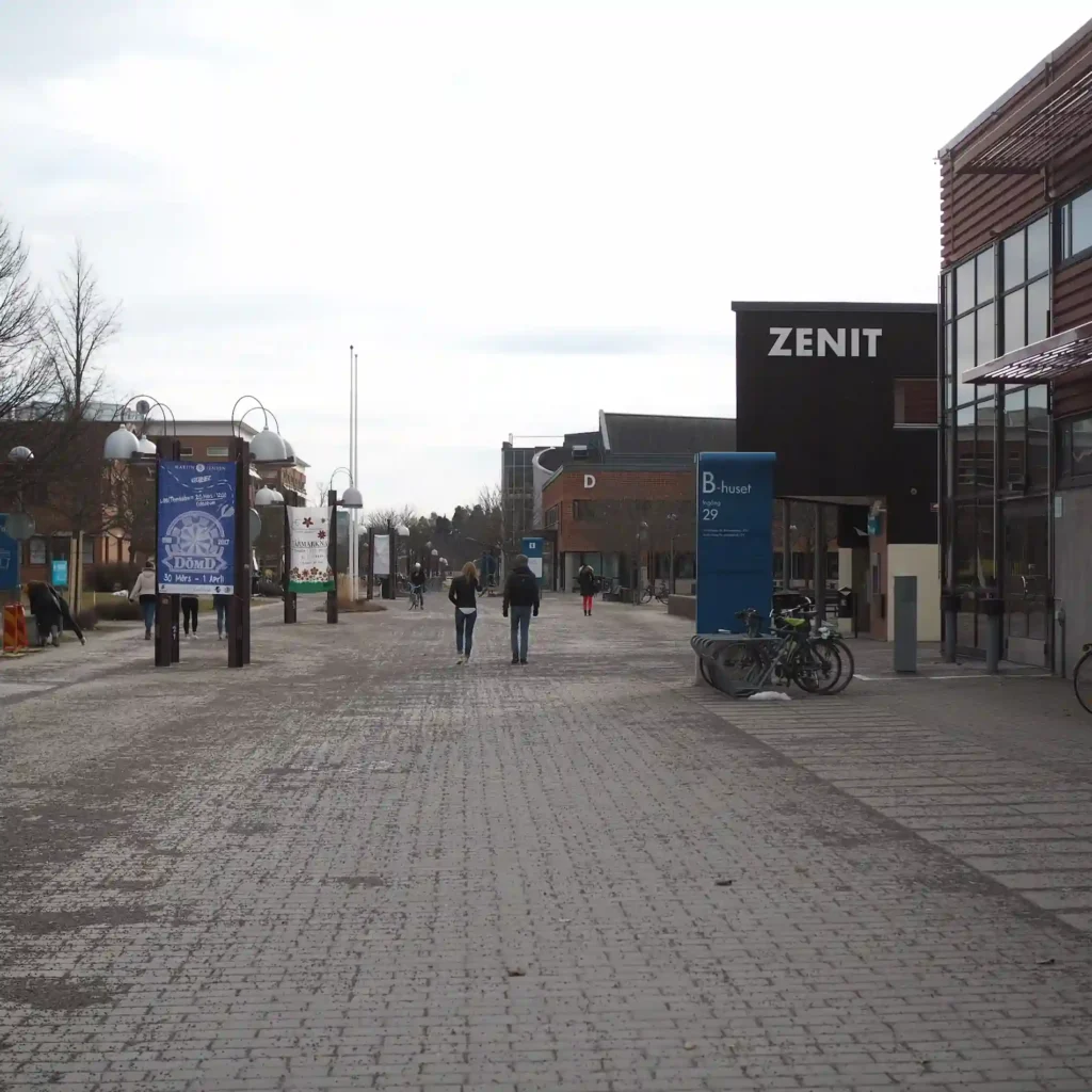 Linköpings Universitet Digital marknadsföring